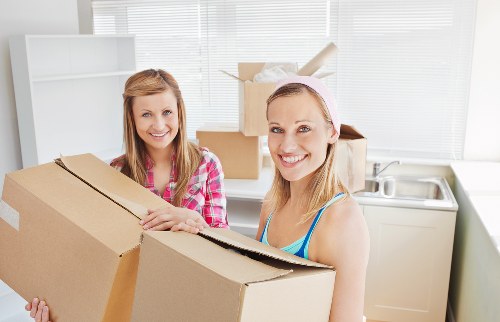 Professional man with van Greenwich booking and relocation